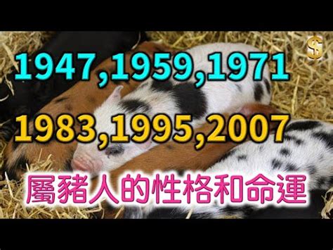 2023 豬運勢|解析2023生肖運勢！屬羊、猴、豬和狗請把握兔年最。